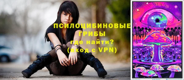 spice Алексеевка