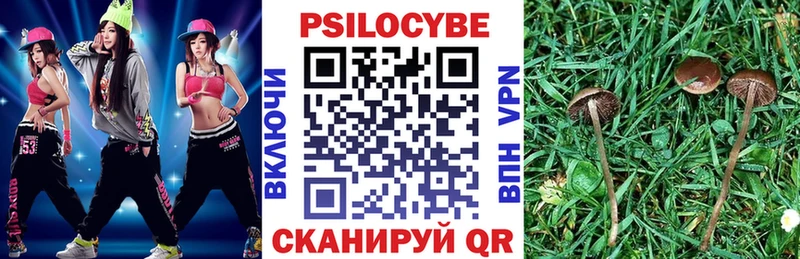 Галлюциногенные грибы Psilocybine cubensis  это наркотические препараты  Ставрополь  блэк спрут вход 
