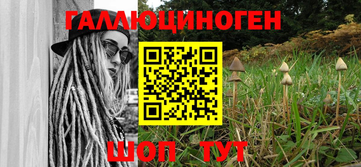 Ставрополь  Галлюциногенные грибы Cubensis  Вход с VPN  Галлюциногенные грибы Cubensis 